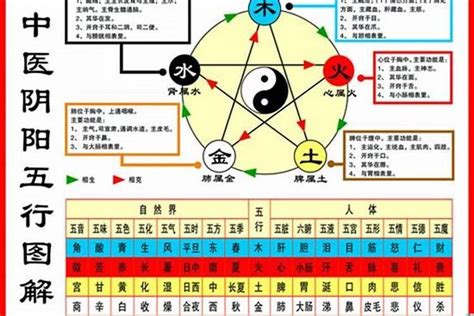 1984海中金|1984年属鼠：木鼠命与海中金命详解